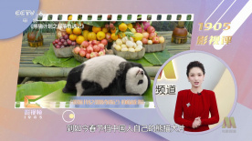 新婚的性生活